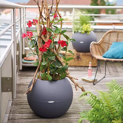 LECHUZA PURO Color Round Poly Resin Self-watering Planter