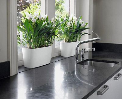 LECHUZA DELTA 10|DELTA 20 Poly Resin Indoor Self-watering Planter