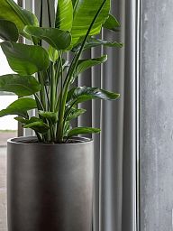 Gradient Partner Round Tall Matt Indoor Planter