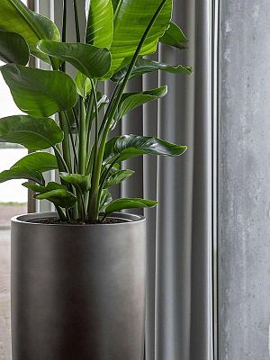 Gradient Partner Round Tall Matt Indoor Planter