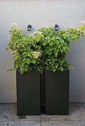 PURE High Cube Outdoor Fiberglass Planter