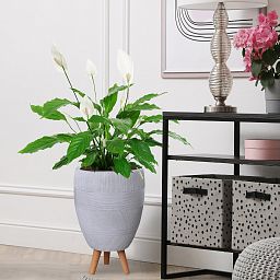 IDEALIST Lite Striped Egg Planter on Legs, Round Pot Plant Stand Indoor
