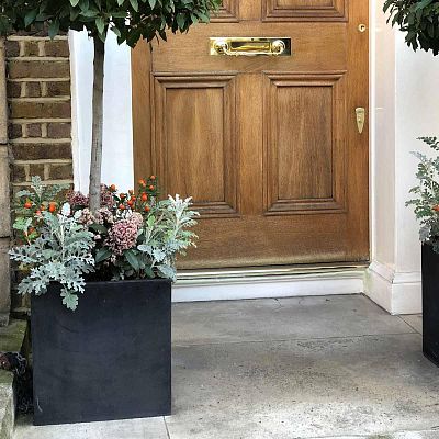 IDEALIST Lite Square Box Contemporary Light Concrete Planter