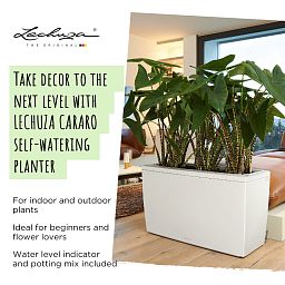 LECHUZA CARARO Trough Poly Resin Self-watering Planter