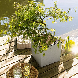 LECHUZA CANTO Stone Low LED Square Poly Resin Self-watering Planter