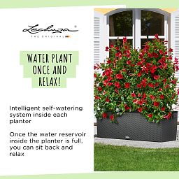 LECHUZA TRIO Cottage Trough Poly Resin Self-watering Planter
