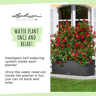 LECHUZA TRIO Cottage Trough Poly Resin Self-watering Planter