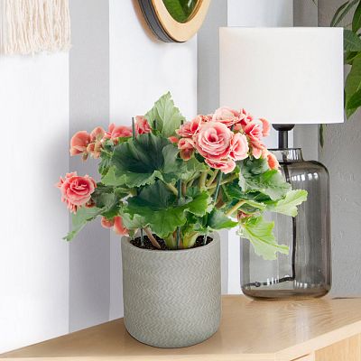 IDEALIST Lite Plaited Style Table and Hanging Cylinder Round Plant Pot Dual Use Indoor Planter