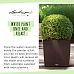 LECHUZA CUBE Cottage Square Poly Resin Self-watering Planter