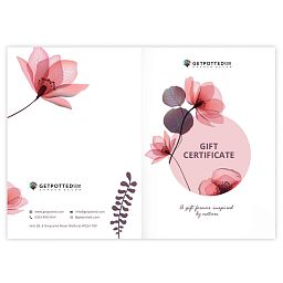 Gift Certificate at Any Price