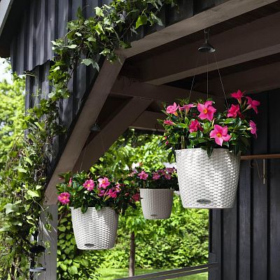 LECHUZA NIDO Cottage Round Poly Resin Outdoor Self-watering Planter