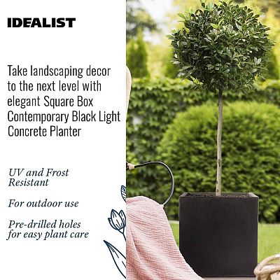IDEALIST Lite Square Box Contemporary Light Concrete Planter Set