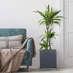 IDEALIST Lite Hammered Stone Style Square Indoor Planter on Metal Stand