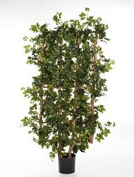 Cissus Artificial Tree Plant