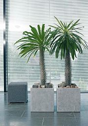 Square Polystone Planter by Fleur Ami STYLE