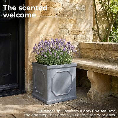 IDEALIST Lite Faux Lead Chelsea Box Square Light Concrete Planter