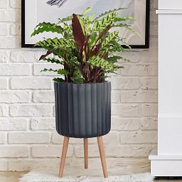 IDEALIST Lite Modern Ribbed Cylinder Planter on Legs, Round Pot Plant Stand Indoor