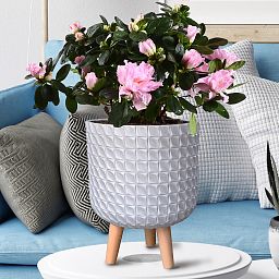 IDEALIST Lite Faceted Effect Planter on Legs