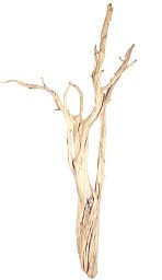 Ghostwood Sand Blasted Branchy Artificial Branch