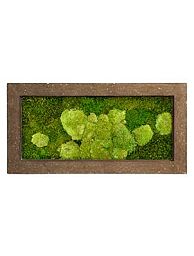 Moss Painting Rock Rectangle