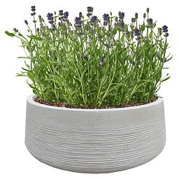 IDEALIST Lite Ribbed Light Concrete Bowl Planter