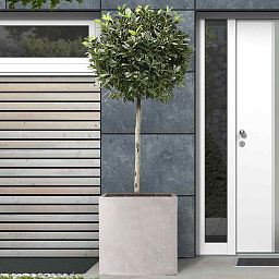 IDEALIST Lite Square Box Contemporary Light Concrete Planter