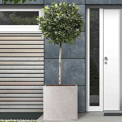 IDEALIST Lite Square Box Contemporary Light Concrete Planter