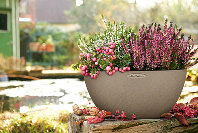 LECHUZA CUBETO COLOR Round Stone Look Poly Resin Self-watering Planter