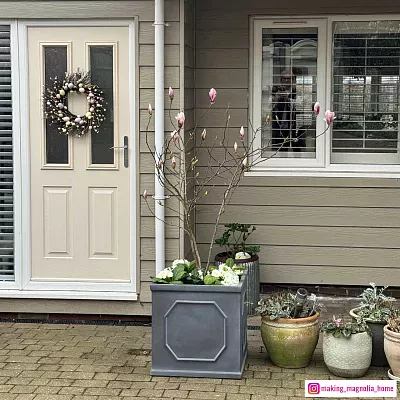 IDEALIST Lite Faux Lead Chelsea Box Square Light Concrete Planter