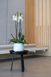 Fibrestone Matt Kevan Round Planter by Idealist Premium