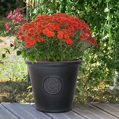 IDEALIST Lite Rustic Style Rolled Rim Wide Vase Outdoor Planter