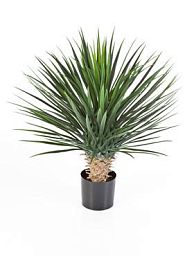 Yucca Rostrata Artificial Tree Plant
