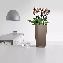 LECHUZA CUBICO Square Tall Poly Resin Self-watering Planter