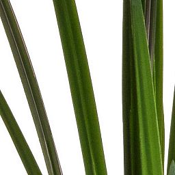 Grass-Reed Artificial Grass Plant