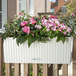 LECHUZA BALCONERA Cottage Trough Poly Resin Self-watering Planter