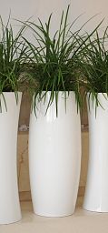 Yang Contemporary GRP Planter