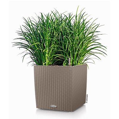 LECHUZA CUBE Cottage Square Poly Resin Self-watering Planter