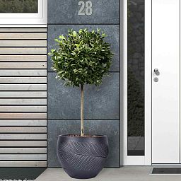IDEALIST Lite Leaf Embossed Ball Planter