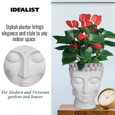 IDEALIST Lite Buddha Face Plant Pot Indoor
