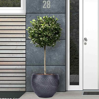 IDEALIST Lite Leaf Embossed Ball Planter