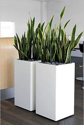 PURE High Cube Outdoor Fiberglass Planter