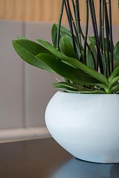 Fibrestone Cora Round Planter by Idealist Premium