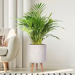 IDEALIST Lite Honeycomb Style Cylinder Planter on Legs, Round Pot Plant Stand Indoor