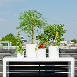 Fibrestone Matt Puk Round Planter by Idealist Premium