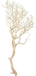Manzanita Sand Blasted Branchy Artificial Branch