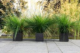 Square Fiberstone Contemporary Planter by Cadix Capi Lux