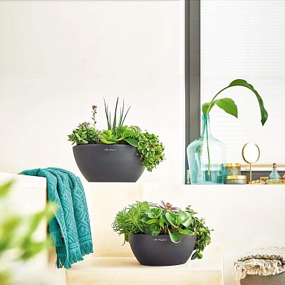 LECHUZA CUBETO COLOR Round Stone Look Poly Resin Self-watering Planter