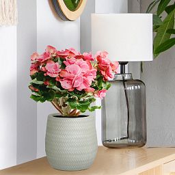 IDEALIST Lite Plaited Style Table and Hanging Plant Pot Dual Use Indoor Egg Planter