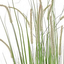 Dogtail with Pot Artificial Grass Plant
