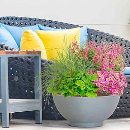 IDEALIST Lite Dish Style Smooth Bowl Outdoor Planter